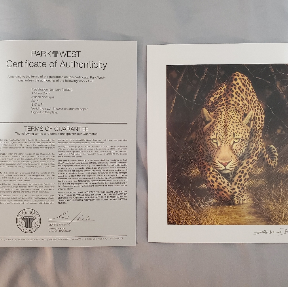 Andrew Bone African Mystic Print